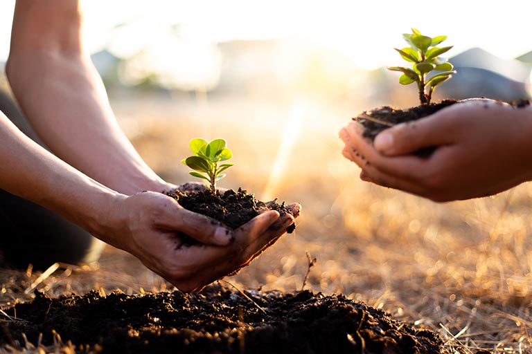 Agricultural Processing