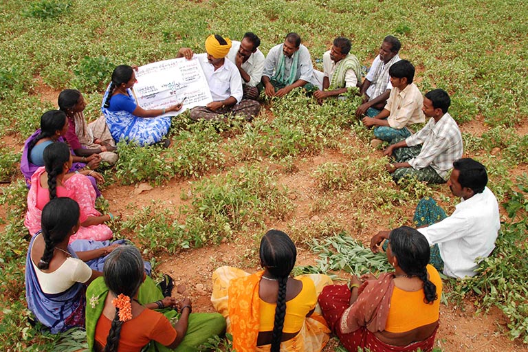 Agricultural Processing